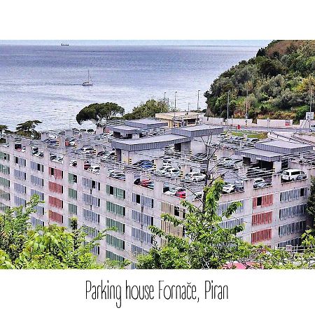 Green Oasis Family Apartments Piran Exterior foto