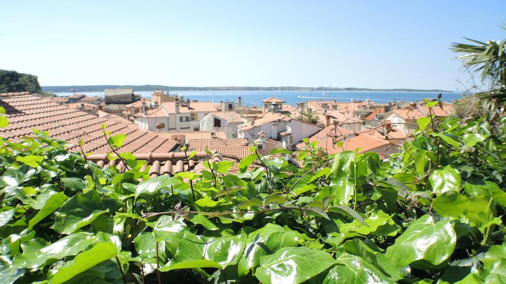 Green Oasis Family Apartments Piran Habitación foto