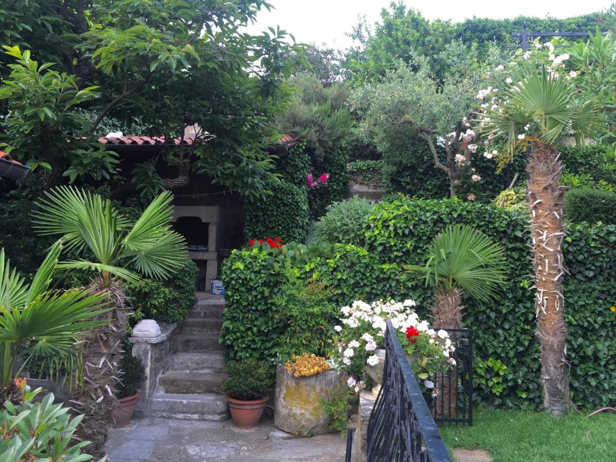 Green Oasis Family Apartments Piran Exterior foto